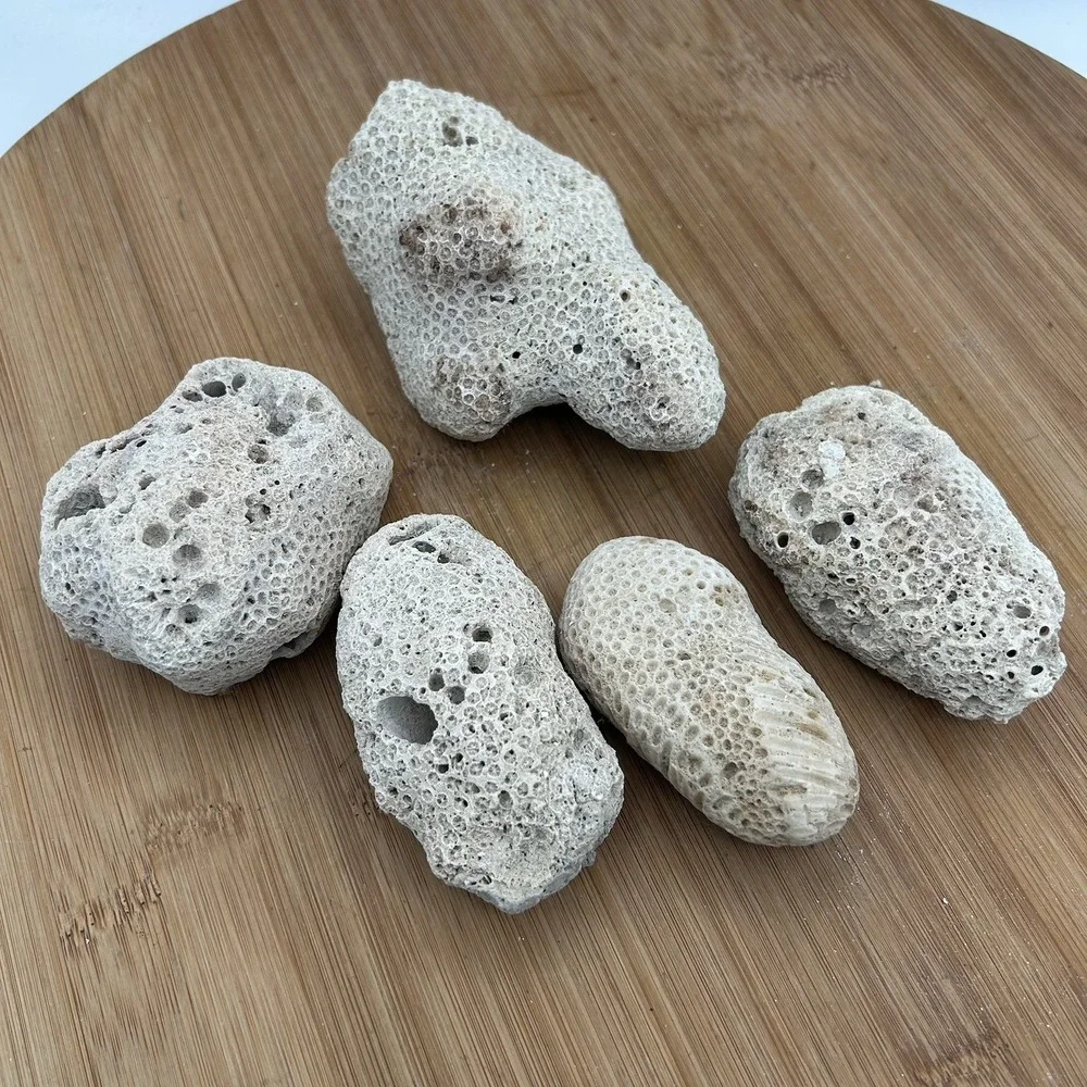 5 Pieces Coral Rocks Rare Vintage Ocean Stone Saltwater Fish Tank Aquarium Decor